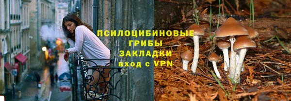 мяу мяу мука Алексин