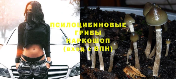 дурь Алзамай