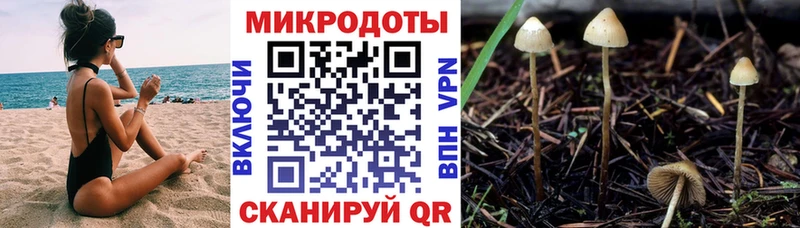 где продают наркотики  Апрелевка  Галлюциногенные грибы MAGIC MUSHROOMS 