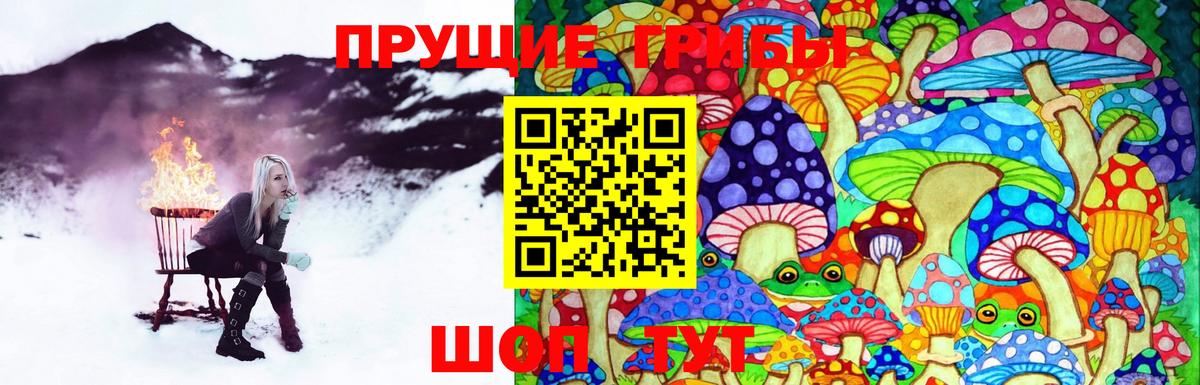 Псилоцибиновые грибы Psilocybe Апрелевка